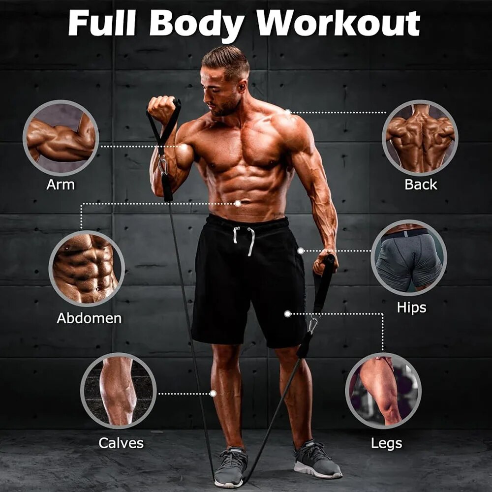 Juego de Bandas de Resistencia - Home Gym Equipment Set reseña y precio